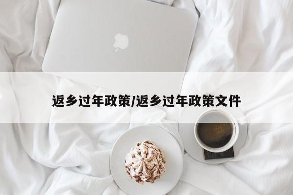 返乡过年政策/返乡过年政策文件