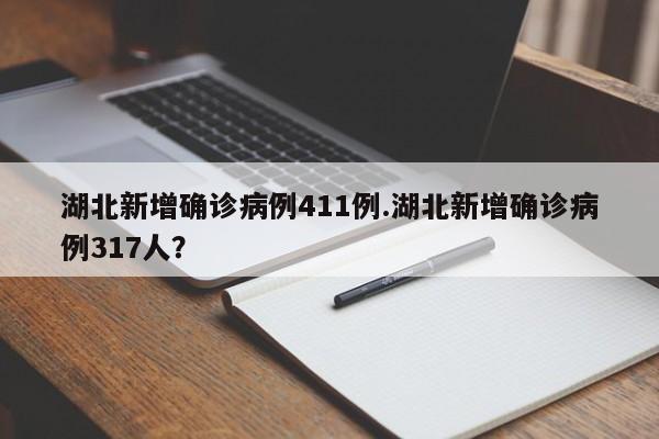 湖北新增确诊病例411例.湖北新增确诊病例317人?